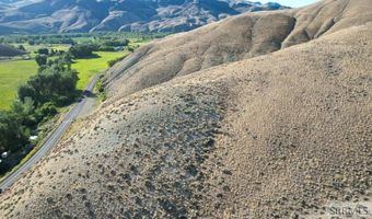 Tbd Morgan Creek Road, Challis, ID 83226