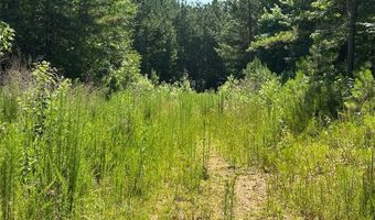 0 Highway 140 Tract E NW, Adairsville, GA 30103