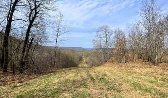 320 Acres CR 921, Alpena, AR 72611