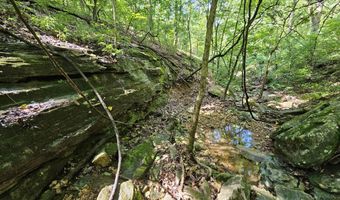 65 Acres Plainview Rd, Anderson, MO 64831