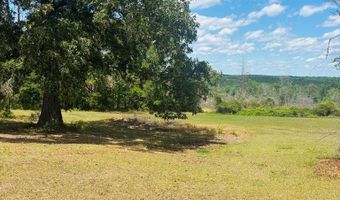 1687 HWY 131, Baker Hill, AL 36027