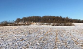 S1/2 SW1/4 8-162-74 & NW1/4 SW1/4 8-162-74, Bottineau, ND 58318