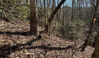 Lot 7 Valley View Heights Lane, Andrews, NC 28901