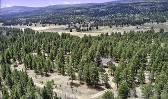 14 Winterwood Ct, Angel Fire, NM 87710