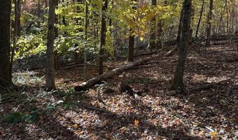 39 Planters Creek Dr, Baldwin, GA 30511