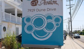 7929 Dune 212, Avalon, NJ 08202