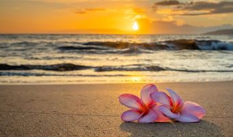 25 Wailana Pl 6, Kihei, HI 96753