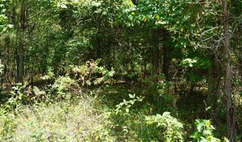 000 Stokes Rd, Bald Knob, AR 72010