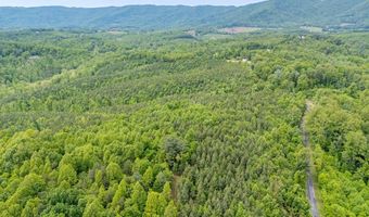 Ahart Ridge Rd lot 58 60 61, Ararat, VA 24053