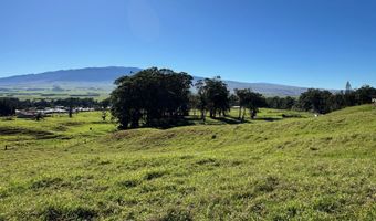 64-550 MAMALAHOA Hwy, Kamuela, HI 96743