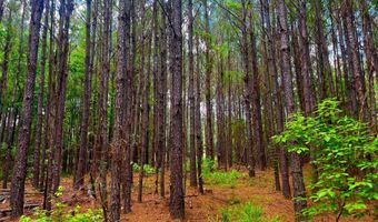 Arthur Drive, Brookhaven, MS 39601