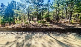 Loon Road, Barnwell, SC 29812