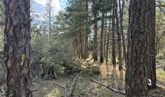 Thunder Bear Road, Bonanza, OR 97623