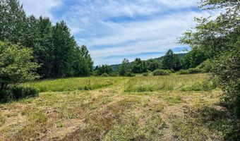 0 Woodland Hills Rd, Andes, NY 13731