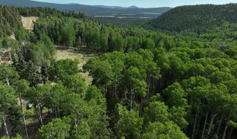 168 Mertz Pl Lot 65, Angel Fire, NM 87710