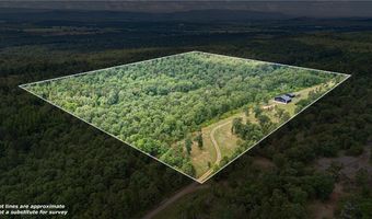 10606 Hickory Grove Rd, Belleville, AR 72824