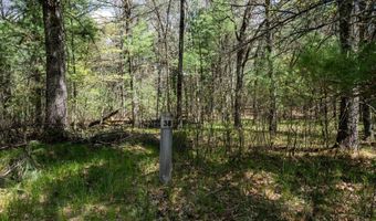 S Badger Lane lot 38, Arkdale, WI 54613