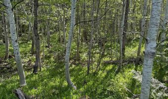 Gratiot River Road lot A, Allouez, MI 49805