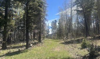 Lot 86 Elk Horn Drive, Angel Fire, NM 87710