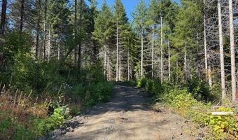 Van Horn 140 Rd, Alsea, OR 97324