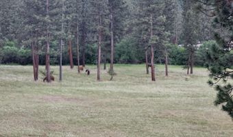 35322 Washoe Rd, Bonner, MT 59823