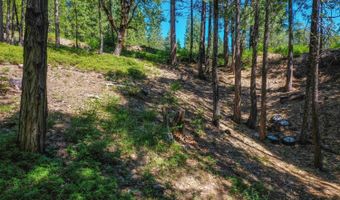 2690 Cheyenne Way, Arnold, CA 95223