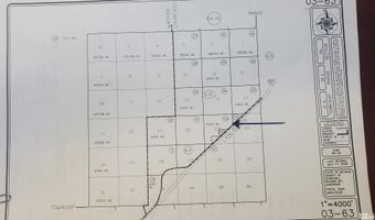 Hwy 80, Fallon, NV 89406