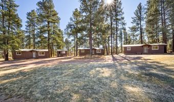 25327 Coronado Trl, Alpine, AZ 85920