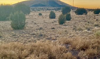 CR 5106, Concho, AZ 85924