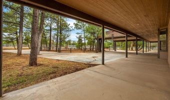 1955 Ricochet Ranch Rd, Clay Springs, AZ 85923
