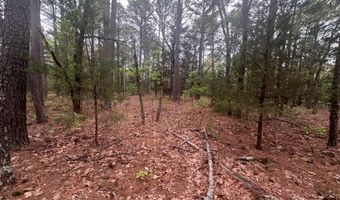 UNIT # 263B KIAMICHI WILDERNESS RD Unit # 63 63, Antlers, OK 74523