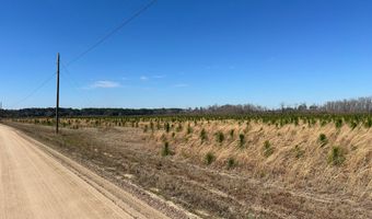 2000-4 Sellers, Baxley, GA 31513