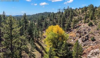 838 County Road 260, Westcliffe, CO 81252