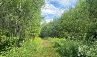 NEAR SCHMIDT LN, Argonne, WI 54511