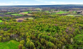 Beaver Road, Alexander, NY 14005