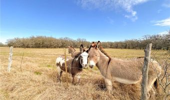 236 HCR 2215, Aquilla, TX 76622