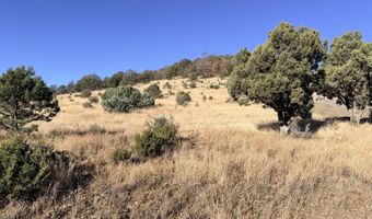 Antler Drive lot 87, Alto, NM 88312