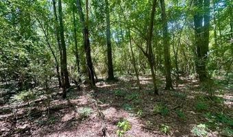 NE Williams Street, Brookhaven, MS 39601