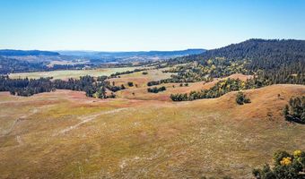 Tract 8 Lone Elk Ranch, Alva, WY 82711