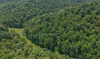 50 Hg Williams Dr, Bays, KY 41310