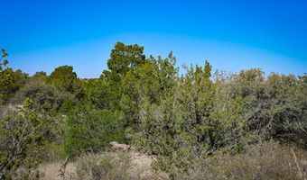 1086 Juniper, Alpine, TX 79830