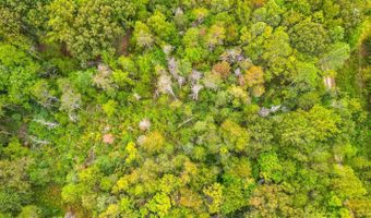 0 Roses Mill Rd, Amherst, VA 24521