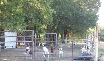 142 County Road 1591 Rd, Alvord, TX 76225