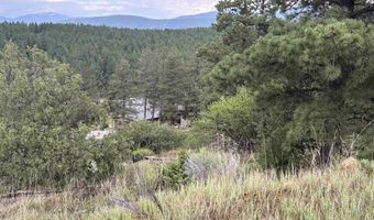 San Mateo Drive lot 1292, Angel Fire, NM 87710