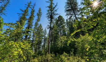 631 Saddlehorn Trl, Bigfork, MT 59911
