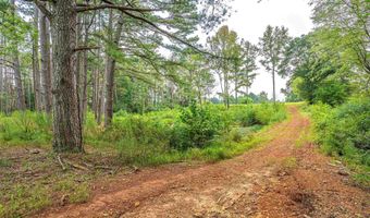 Tract 1 Highway 99, Anderson, AL 35610