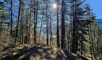 618 Quail Dr, Ahsahka, ID 83520