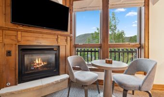 415 E Dean St. Unit 30 Week 9, Aspen, CO 81611