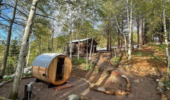 1087 Highway 7 Bus Rte, Allenspark, CO 80510