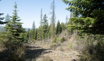 NKA 262 Ac N Side Rd, Calder, ID 83808